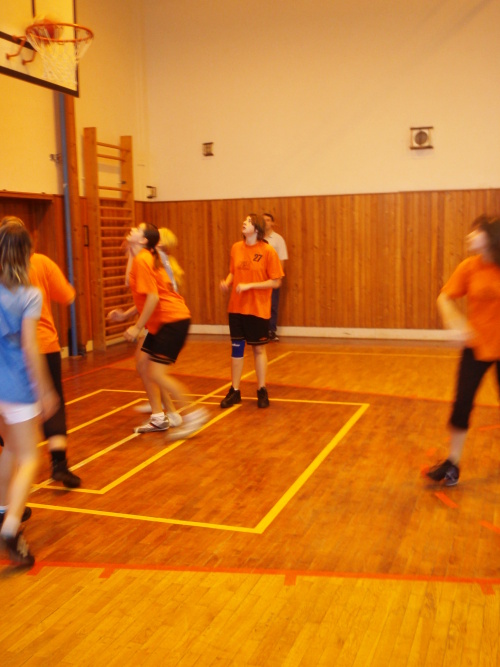 P1190461.jpg